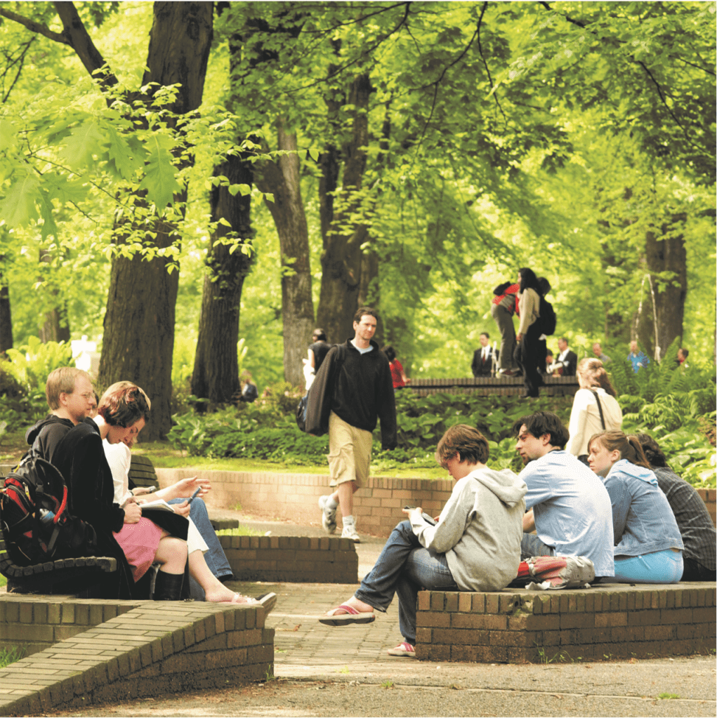 Students meeting outside